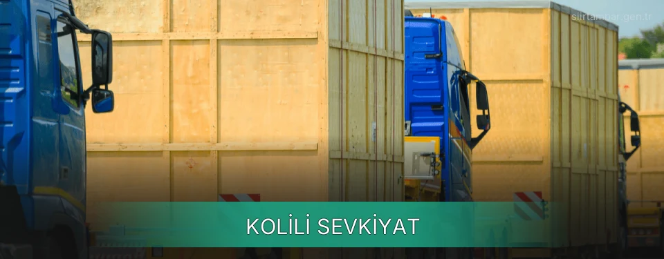 Siirt Kolili Sevkiyat Ambar Firmaları